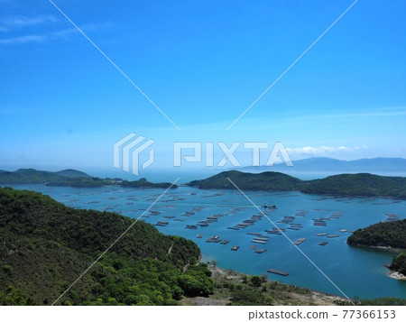 View of Mushimei Bay in early summer View of Mushimei Bay in early summer 77366153