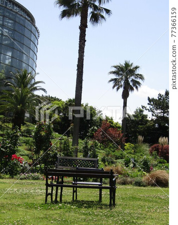 三洋美狄亞花卉博物館後院長椅、椅子和桌子 77366159