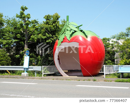 Fruit bus stop Okubo Tomato, Konagaicho, Isahaya City, Nagasaki Prefecture National Highway 207 77366407