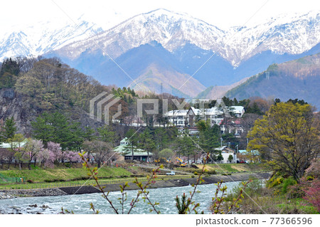 [Tone-gun, Gunma Prefecture] Minakami Suwa Gorge and Mt. Tanigawa in spring 77366596