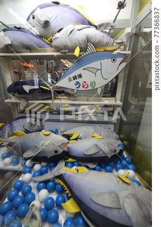 Urari Marche Misaki Port Urari Marche Misaki Port 77366837