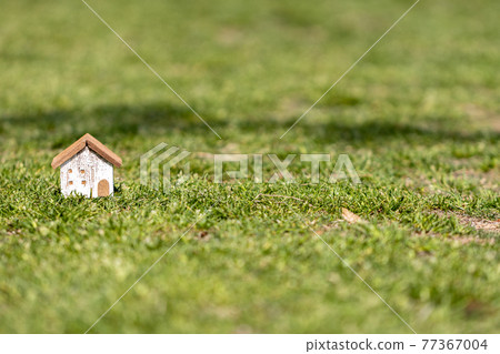 草坪上的小木屋 77367004