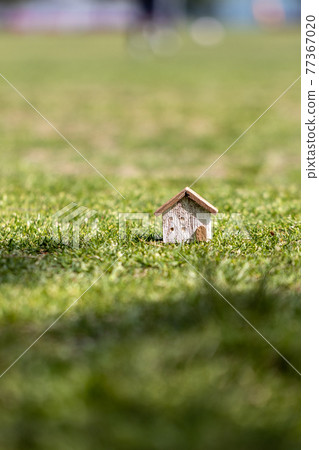 A small wooden house on the lawn 77367020