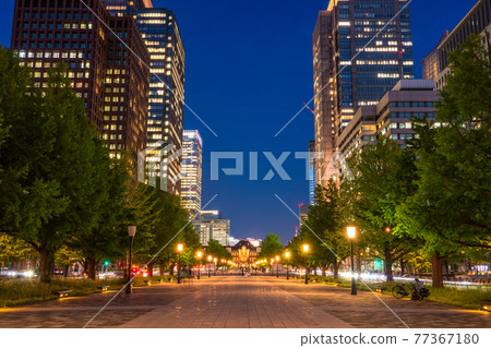 《Tokyo》 Night view of Tokyo Station, fresh green Gyoko-dori 《Tokyo》 Night view of Tokyo Station, fresh green Gyoko-dori 77367180