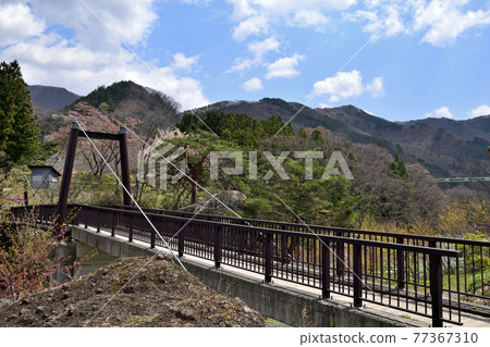 [群馬縣利根郡] Spring Minakami Suwakyo Sasabue Bridge 77367310