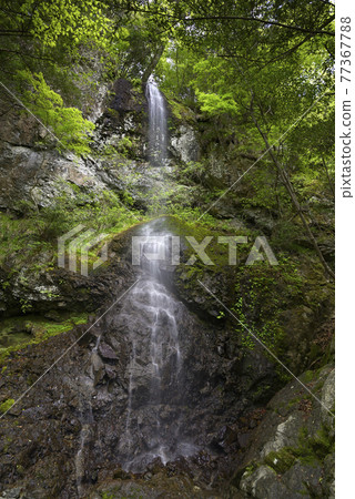 Shisobu Waterfall (Yasutomicho, Himeji City, Hyogo Prefecture) 77367788