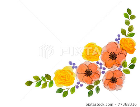 Anemone rose yellow orange flower hand-painted transparent watercolor beautiful illustration corner frame Anemone rose yellow orange flower hand-painted transparent watercolor beautiful illustration corner frame 77368316