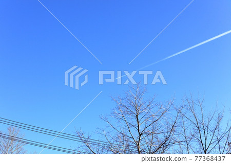 天空和電線 天空和電線 77368437