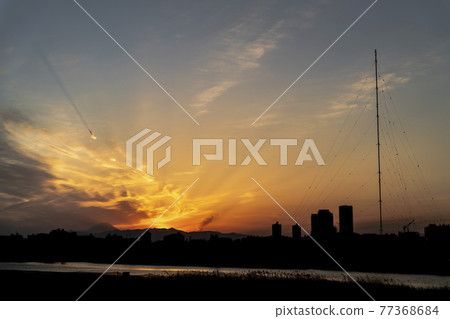 多摩川河床的夜景 77368684