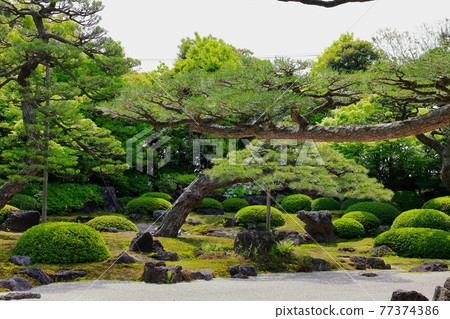 日本庭園的is 日本庭園的is 77374386