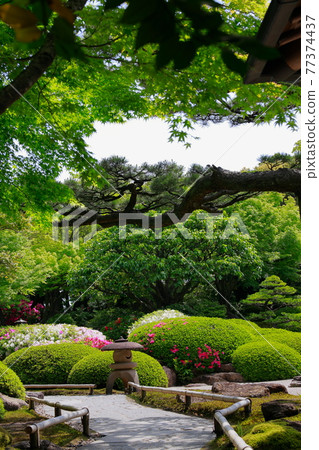 日本花園小徑 77374437