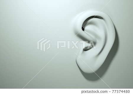 Ear on white surface, concept, modeling. Rumors and eavesdropping. Ear disease and treatment. 3D render Ear on white surface, concept, modeling. Rumors and eavesdropping. Ear disease and treatment. 3D render 77374480