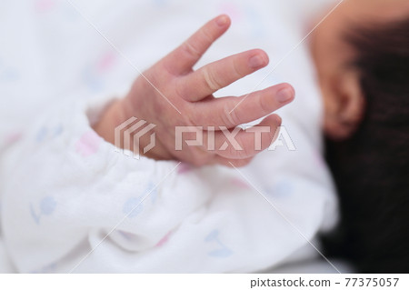Hands of a newborn girl just born 77375057