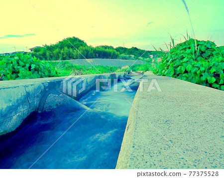 魚道照片 77375528