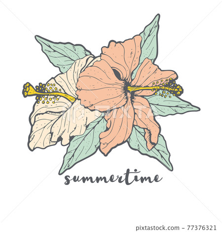 Vintage Line art hibiscus flower arrangement with gray outline and text summertime Vintage Line art hibiscus flower arrangement with gray outline and text summertime 77376321
