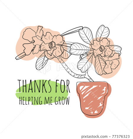 Minimalist boho illustration of quote thanks for helping me grow with black line art potted desert rose and abstract shapes background Minimalist boho illustration of quote thanks for helping me grow with black line art potted desert rose and abstract shapes background 77376323