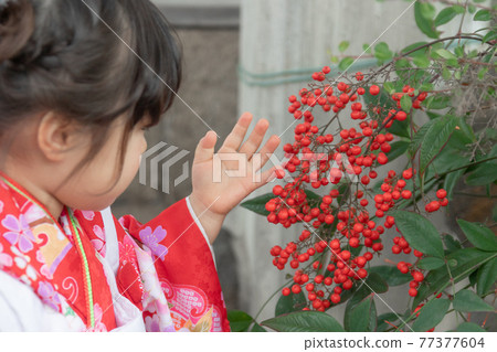 Shichigosan 753 3-year-old girl Shichigosan 753 3-year-old girl 77377604