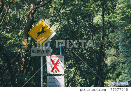 Deer animal caution road sign on Yakushima 77377946
