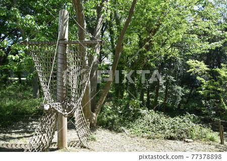 公民的森林田徑運動茅崎 公民的森林田徑運動茅崎 77378898