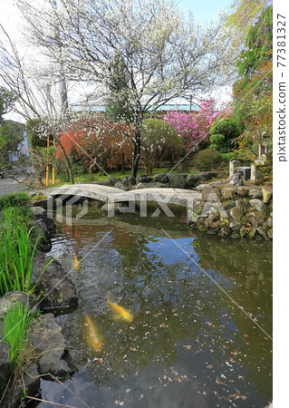 Akiruno City Rinsai Sect Kenchoji School Jizoin Akiruno City Rinsai Sect Kenchoji School Jizoin 77381327
