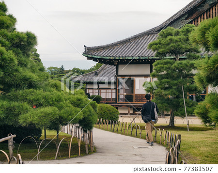 京都世界文化遺產二条城 77381507