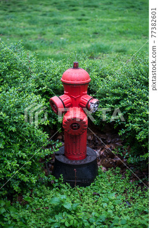 Closeup of red fire hydrant in a public garden Closeup of red fire hydrant in a public garden 77382601