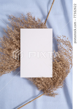 White blank paper card mockup with pampas dry grass on blue neutral colored textile White blank paper card mockup with pampas dry grass on blue neutral colored textile 77382622