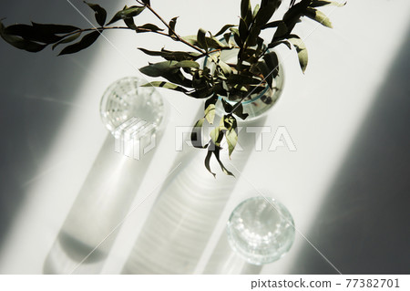 A glass vase with a green plant and two glasses of water on a white table. A glass vase with a green plant and two glasses of water on a white table. 77382701