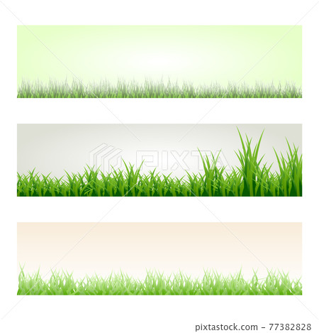 Set of green grass banners in different shades of green lengths and densities. Natural elements templates collection. Jpeg 77382828