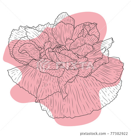 Poppy flower, bud, sketch and imitation watercolor Poppy flower, bud, sketch and imitation watercolor 77382922