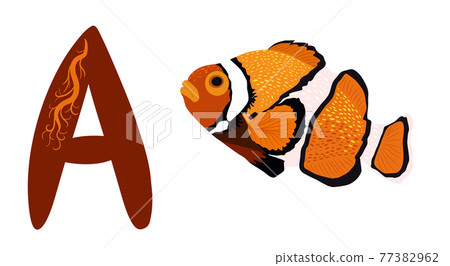 Letter A and Orange bright sea-dweller clownfish, hand drawn. Children s bright alphabet for preschoolers Letter A and Orange bright sea-dweller clownfish, hand drawn. Children s bright alphabet for preschoolers 77382962