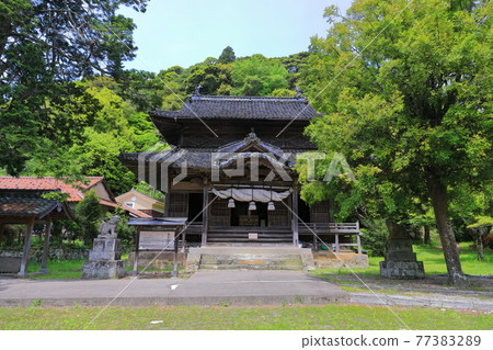 [Shimane Prefecture] Kigami Shrine under sunny weather (Iwami Ginzan) 77383289
