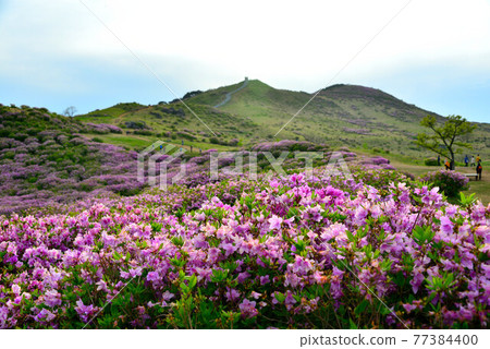 Hwangmae Mountain 77384400
