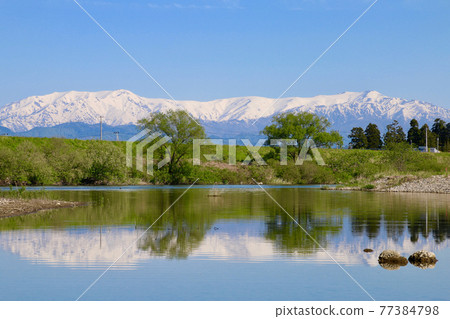 Spring Iide Mountains and Aga River (Aizubange Town, Fukushima Prefecture) 77384798