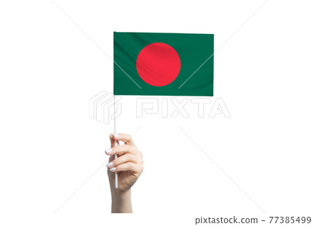 Beautiful female hand holding Bangladesh flag, isolated on white background 77385499