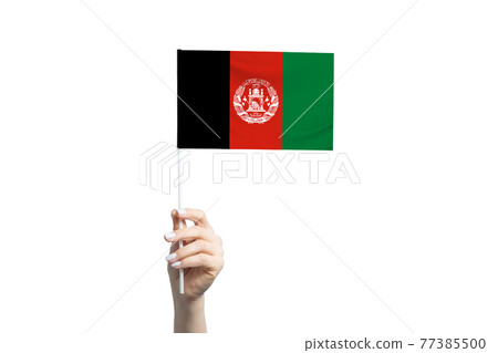 Beautiful female hand holding Afghanistan flag, isolated on white background Beautiful female hand holding Afghanistan flag, isolated on white background 77385500