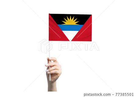 Beautiful female hand holding Antigua and Barbuda flag, isolated on white background Beautiful female hand holding Antigua and Barbuda flag, isolated on white background 77385501