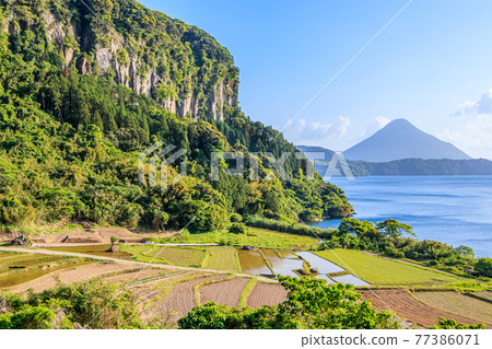 Shin-Nagayoshi Rice Paddy and Kaimondake Volcano, Ibusuki City, Kagoshima Prefecture 77386071