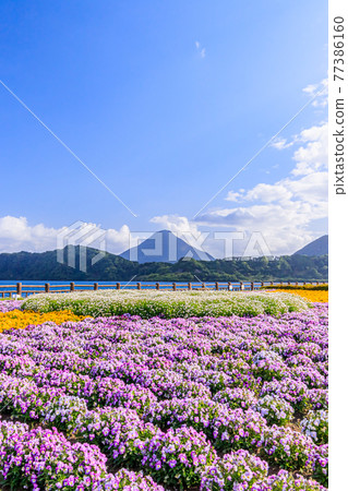 Kaimondake, Lake Ikeda and Viola, Ibusuki City, Kagoshima Prefecture 77386160