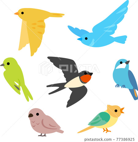 五顏六色的鳥圖集 五顏六色的鳥圖集 77386925