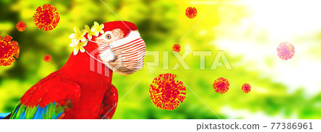Macaw parrot with medical mask on vacation Macaw parrot with medical mask on vacation 77386961