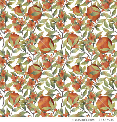Watercolor pomegranate seamless pattern on white background 77387930