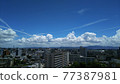 城市和天空 77387981