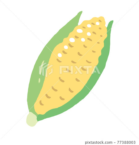 Food _ Ingredients _ Grains _ Corn _ No lines Food _ Ingredients _ Grains _ Corn _ No lines 77388003