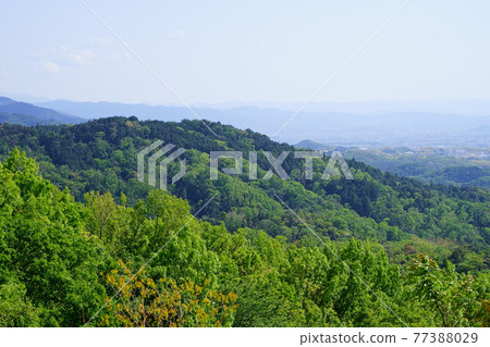 從高圓山路線看大和三山・5月1日 從高圓山路線看大和三山・5月1日 77388029
