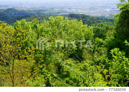 View of Yamato Sanzan from Takamadoyama course ・ May 4 View of Yamato Sanzan from Takamadoyama course ・ May 4 77388036