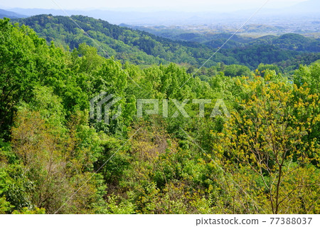View of Yamato Sanzan from Takamadoyama course ・ May 5 77388037