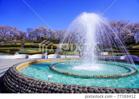 公園池塘中的噴泉【宮城縣川崎町國立陸奧森林湖濱公園】 公園池塘中的噴泉【宮城縣川崎町國立陸奧森林湖濱公園】 77388412
