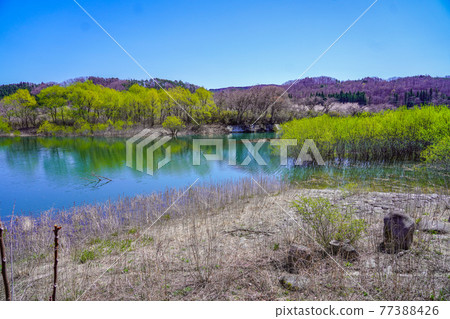 Waterside of Michinoku Forest Lakeside Park (Hanagien) [Kawasaki Town, Miyagi Prefecture] 77388426