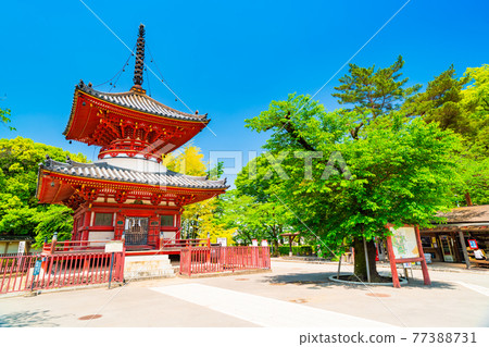 喜多院的埼玉縣川越大師多寶登 喜多院的埼玉縣川越大師多寶登 77388731